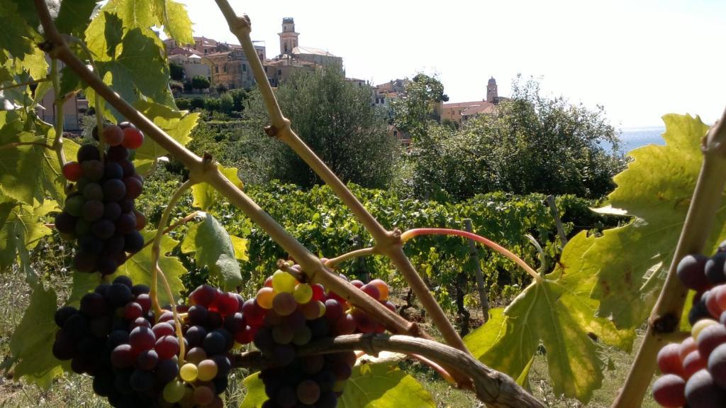 B&B Ca' De Pippu Diano Castello Kültér fotó
