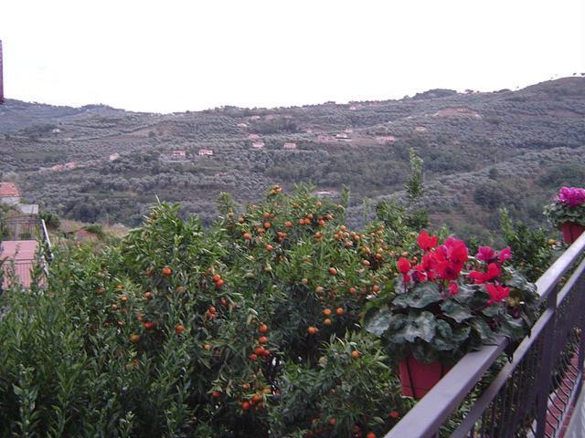 B&B Ca' De Pippu Diano Castello Kültér fotó